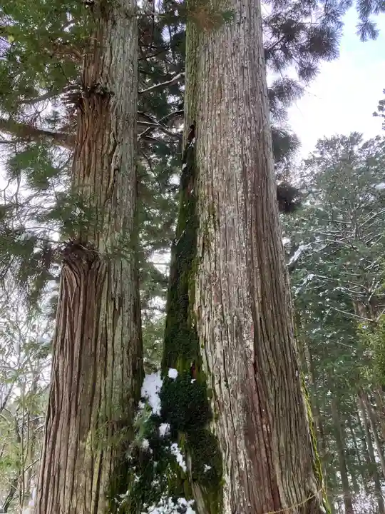 星宮神社(岐阜県)
