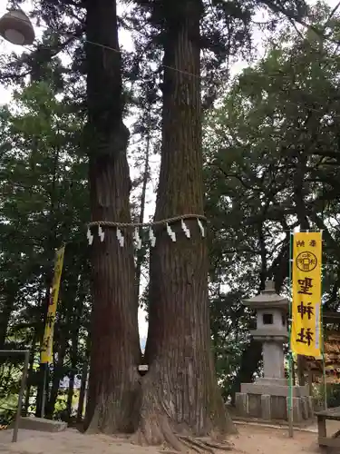 聖神社の自然