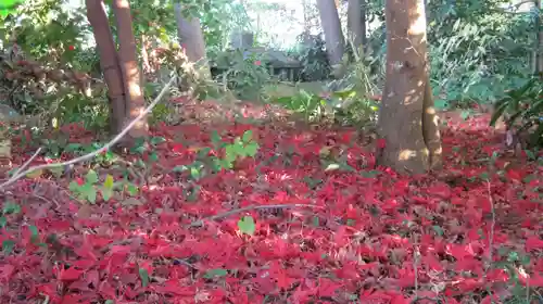 鵜川神社の庭園