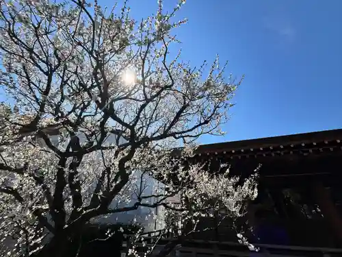 城南宮(京都府)