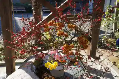 鹿島御子神社の自然