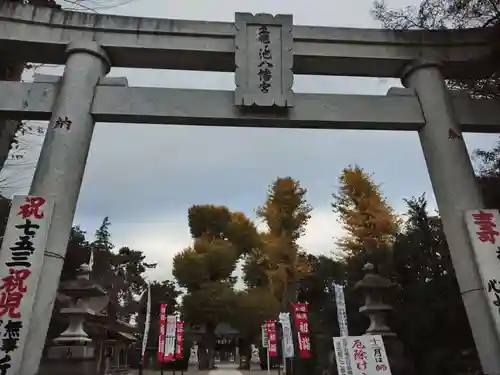 亀ケ池八幡宮の鳥居