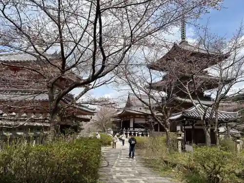 南法華寺（壷阪寺）(奈良県)