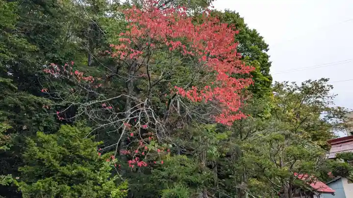 生田原神社の自然