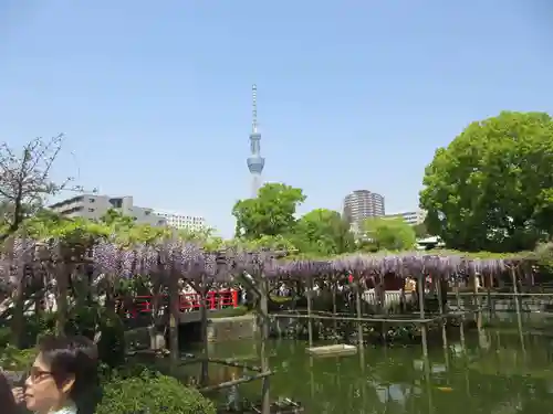 亀戸天神社の庭園