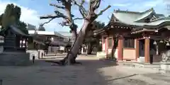 常松 春日神社の建物その他