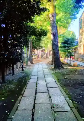 荻窪白山神社(東京都)