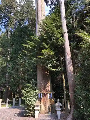 花枝神社(滋賀県)