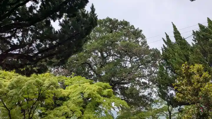 円満寺(香川県)