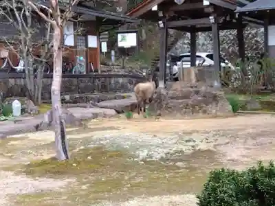 宗猷寺(岐阜県)
