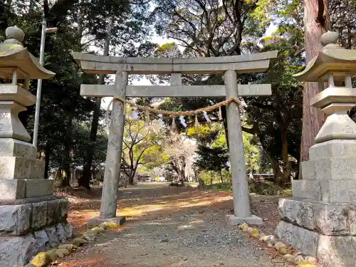 曽許乃御立神社の鳥居