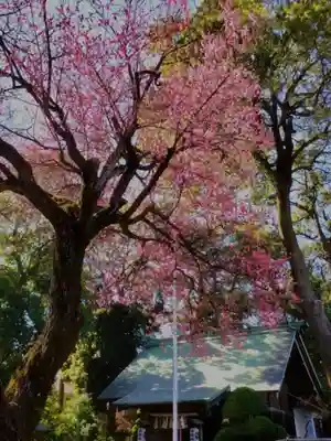 田端神社(東京都)