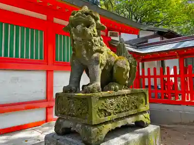 住吉神社の狛犬