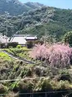 十輪寺(和歌山県)