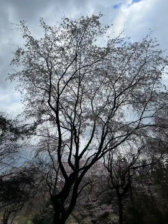 大宮温泉神社の自然