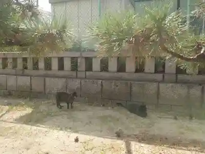 住吉大社(大阪府)