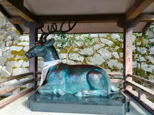 吉田神社の狛犬