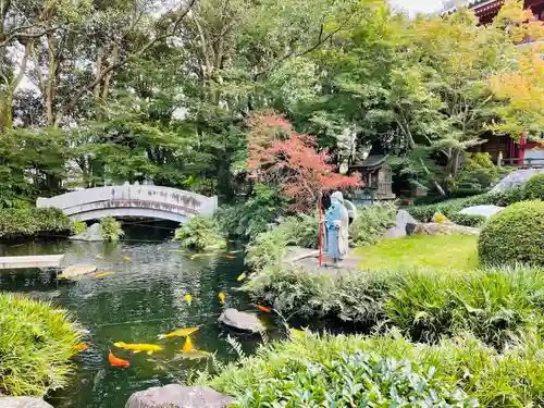 温泉山 安楽寺(四国霊場第六番札所)の庭園