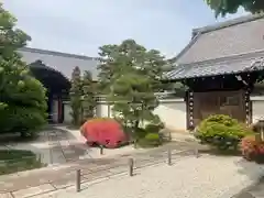 宗仙寺(京都府)