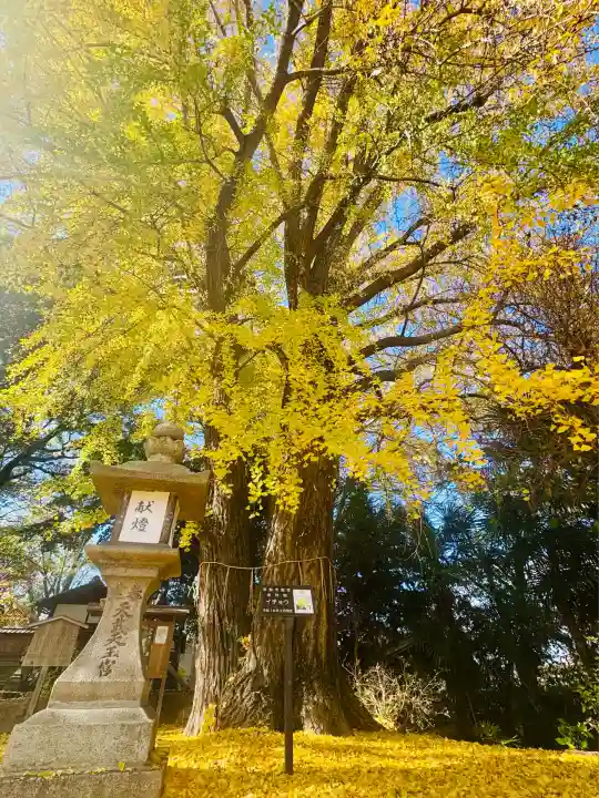 三栖神社(京都府)