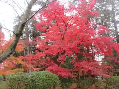 園城寺（三井寺）(滋賀県)