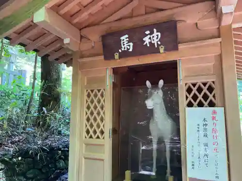 多度大社(三重県)