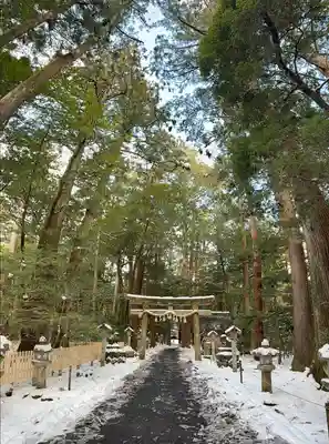 椿大神社(三重県)