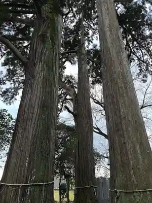 佐味神社(滋賀県)