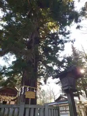 諏訪大社下社秋宮(長野県)