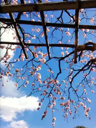 長善寺(東京都)