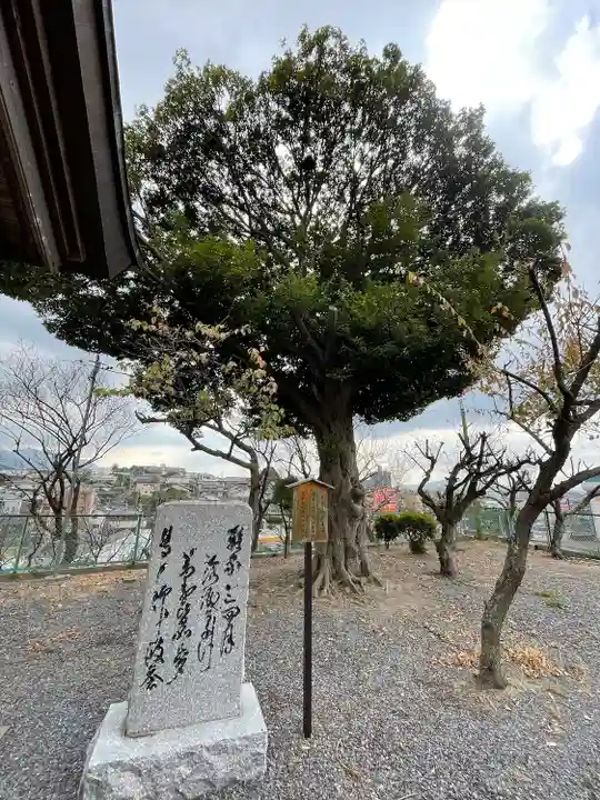 梅安天満宮の自然