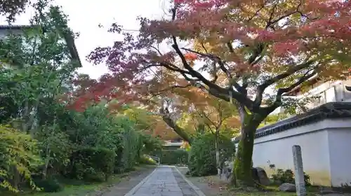 真正極楽寺（真如堂）の庭園