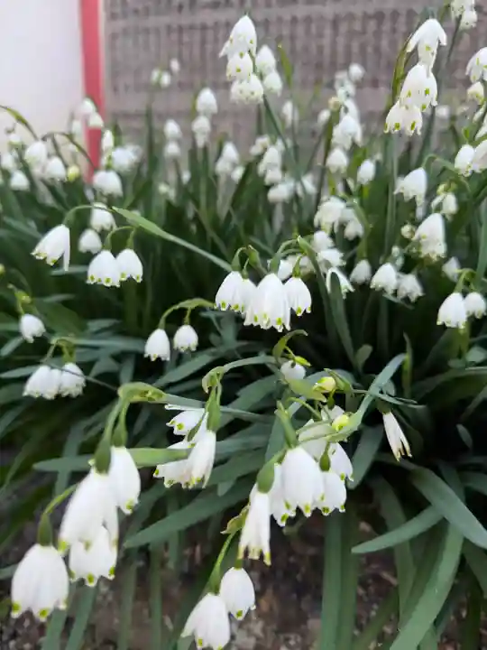 崇道天皇社(奈良県)