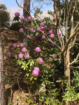 大生郷天満宮のその他建物