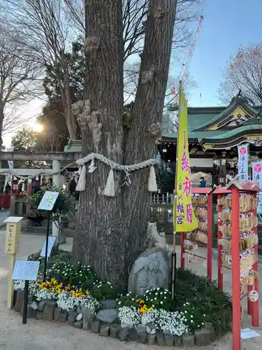 川越八幡宮(埼玉県)