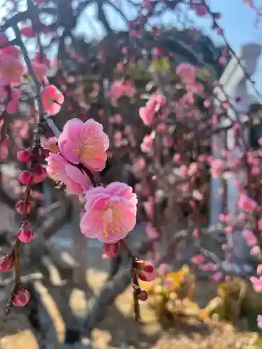 比佐豆知神社の{uncategorized: "未分類", other: "その他", undefined: "問題あり", building: "その他建物", grave: "お墓", sacred_gate: "鳥居", guardian: "狛犬", statue: "像", buddha: "仏像", history: "歴史", nature: "自然", garden: "庭園", animal: "動物", pagoda: "塔", temizu: "手水舎", mountain_gate: "山門・神門", sanctuary: "本殿・本堂", subordinate: "末社・摂社", art: "芸術", scenery: "景色", jizo: "地蔵", ema: "絵馬", goshuin: "御朱印", omikuji: "おみくじ", items: "授与品その他", amulet: "お守り", goshuincho: "御朱印帳", eats: "食事", festival: "お祭り", votive_dance: "神楽", shichigosan: "七五三参", wedding: "結婚式", experience: "体験その他", initially: "初詣", around: "周辺", anti_infection: "感染症対策"}