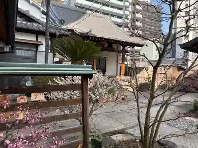 持明院(大阪府)