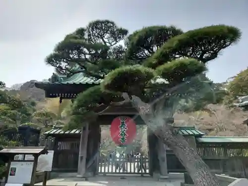 長谷寺(神奈川県)
