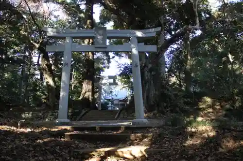 縣神社の鳥居