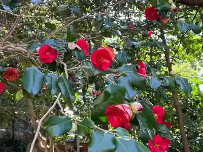 大豊神社(京都府)