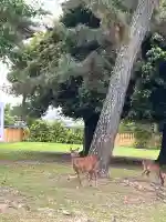興福寺(奈良県)