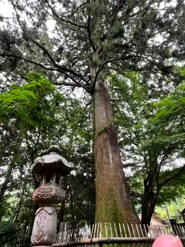 雲巌寺(栃木県)