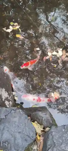 熱田神宮(愛知県)