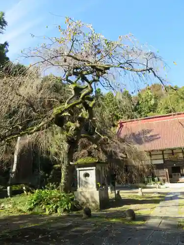 大隣寺(福島県)
