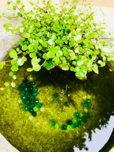 大宝八幡宮の手水舎