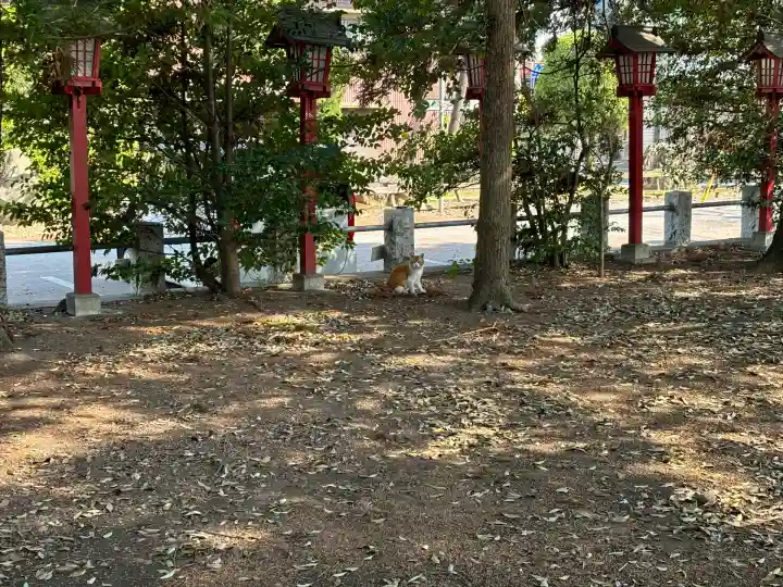 一瓶塚稲荷神社(栃木県)