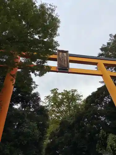 川越氷川神社の鳥居