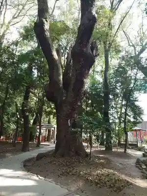 生田神社(兵庫県)