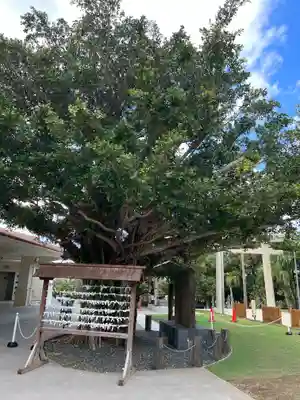 沖縄県護国神社(沖縄県)