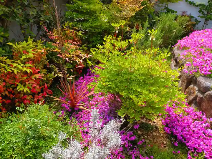 寿量山 速成寺の自然